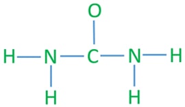 skech of urea molecule